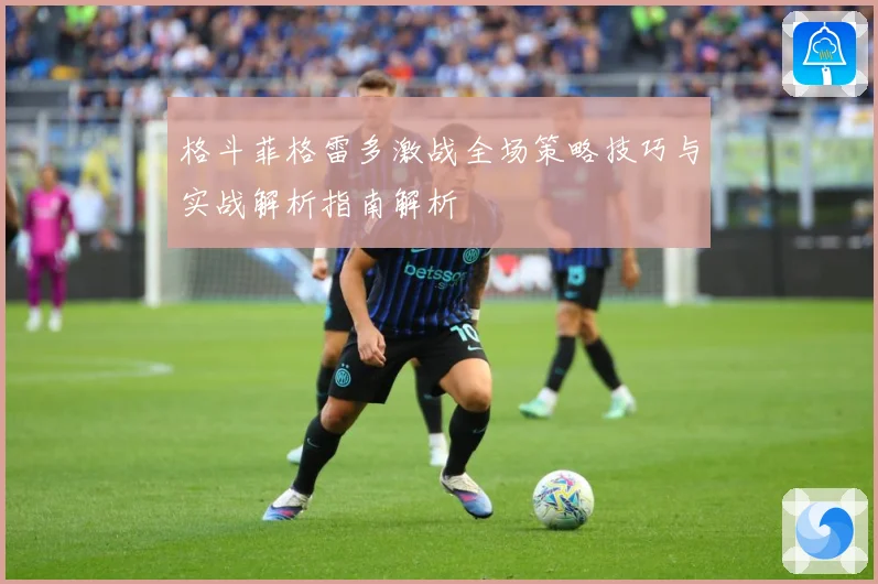 格斗菲格雷多激战全场策略技巧与实战解析指南解析