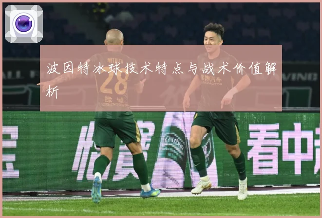 波因特冰球技术特点与战术价值解析