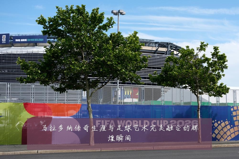 马拉多纳传奇生涯与足球艺术完美融合的辉煌瞬间